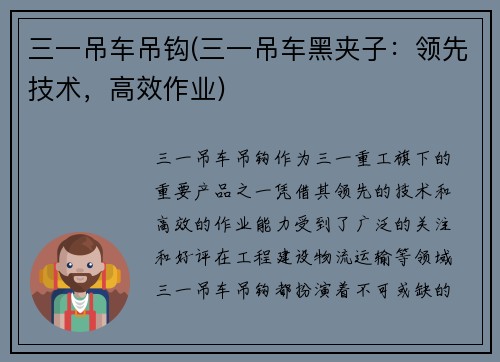 三一吊车吊钩(三一吊车黑夹子：领先技术，高效作业)
