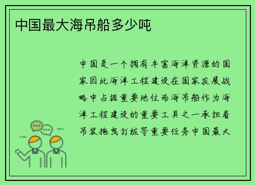 中国最大海吊船多少吨