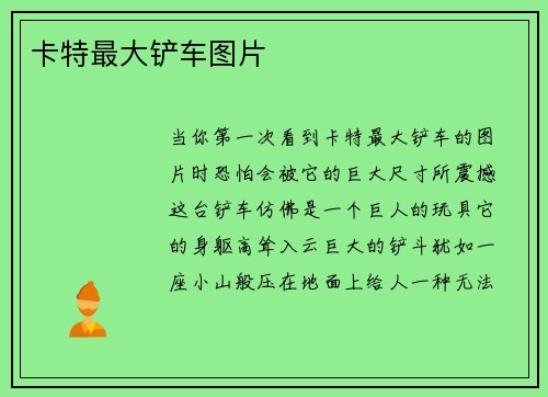 卡特最大铲车图片